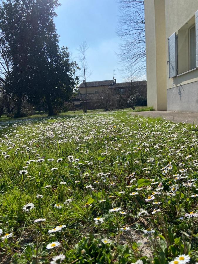 Acero Giallo Πάρμα Εξωτερικό φωτογραφία